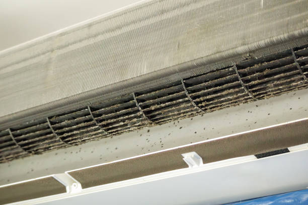 Best Affordable Air Duct Cleaning  in Mineville, NY
